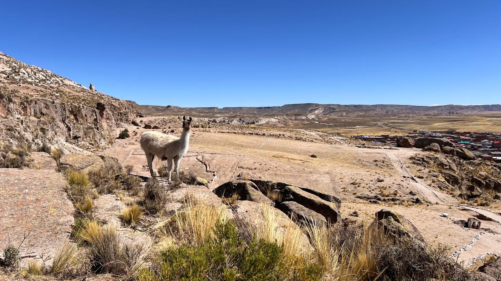 Widok na płaskowyż w ujęciu po lewej stronie lama po prawej widok na teren zabudowany.
